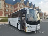Direct Transportation from Doha to Saudi Arabia